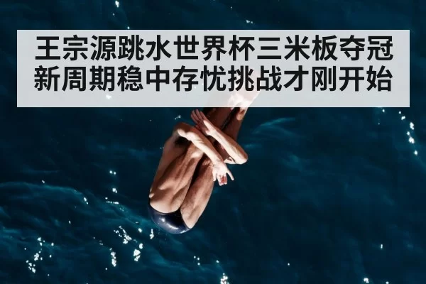 diver mid air dive